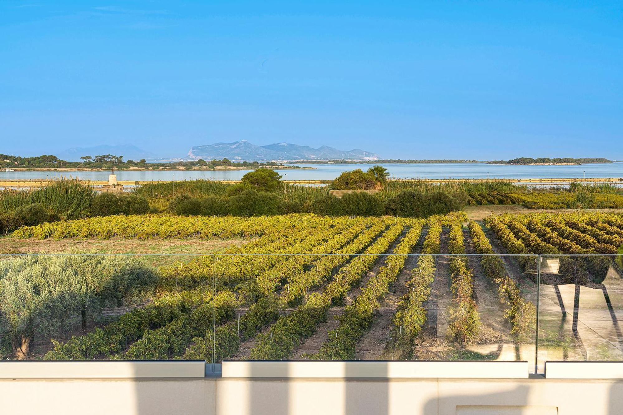 Martina'S Vineyard - Villa Marsala Zewnętrze zdjęcie